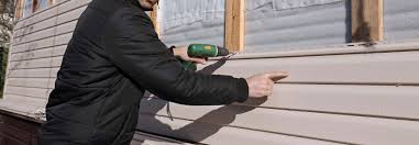 Trusted Mogul, NV Siding Experts